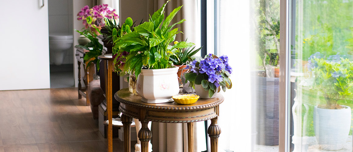 Woonzorgcentrum Pniël